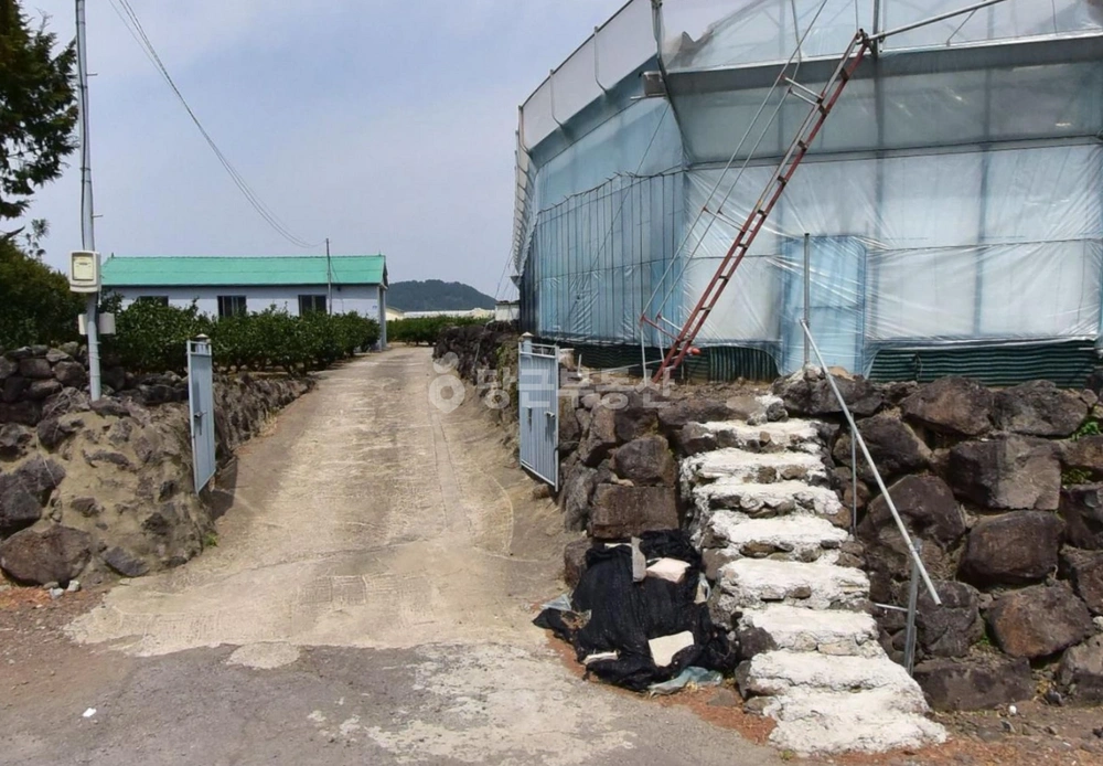 제주특별자치도 제주시 도련이동 토지 사진 1