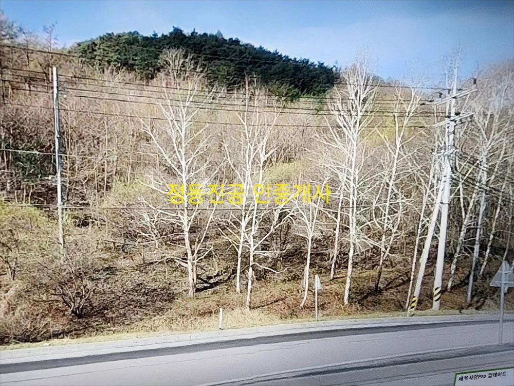 강원특별자치도 정선군 정선읍 토지 사진 1