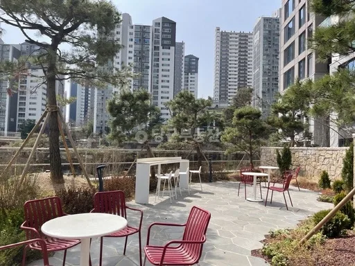 카페