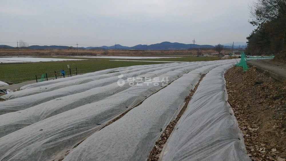 경상남도 창녕군 대지면 토지 사진 1