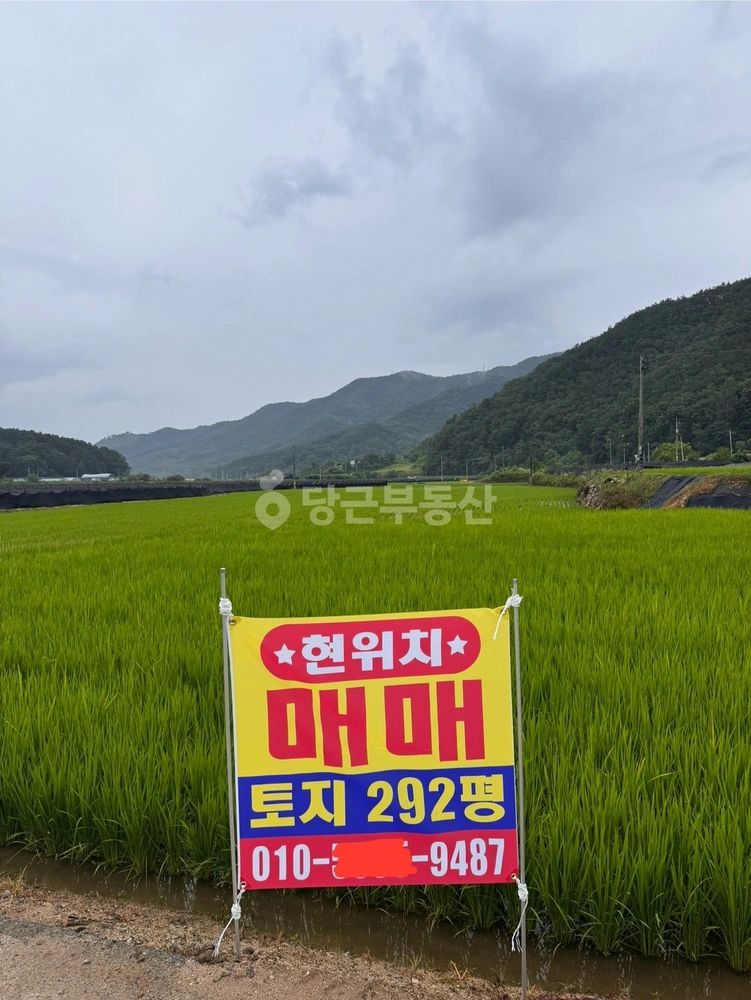 충청남도 금산군 남일면 토지 사진 1