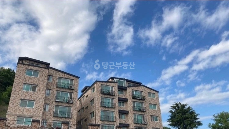 대전광역시 중구 대사동 빌라(투룸 이상) 사진 1