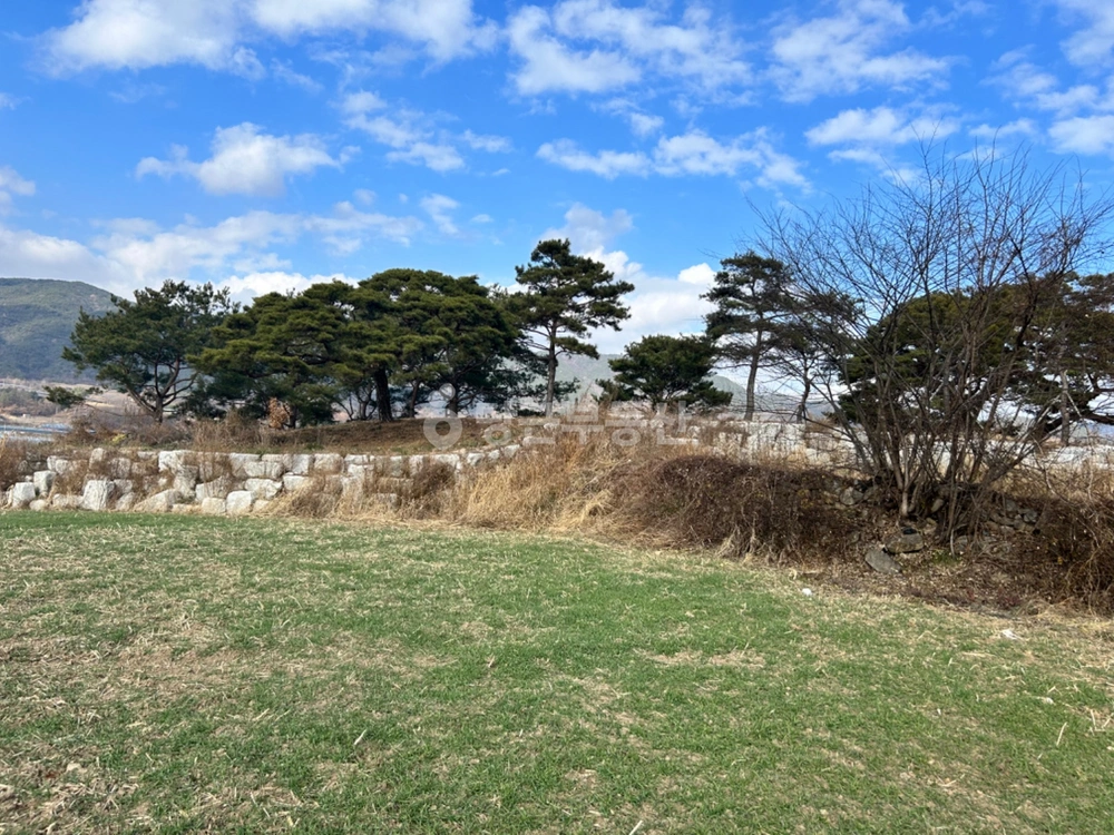 경상남도 거창군 웅양면 토지 사진 1