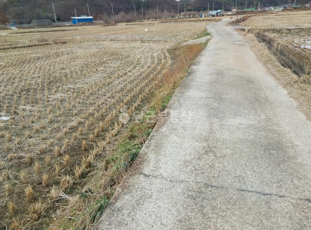 경상북도 경주시 건천읍 토지 사진 1