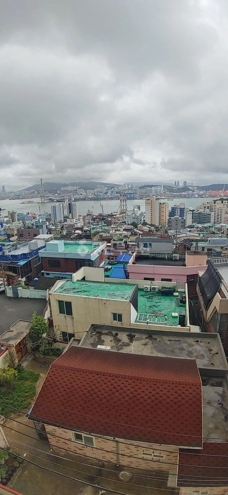 부산광역시 영도구 청학동 빌라(투룸 이상) 사진 1