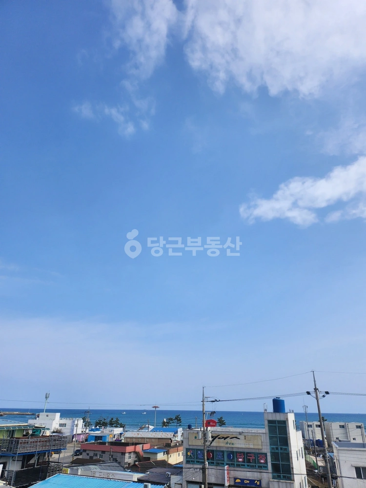 경상북도 포항시 북구 청하면 빌라(투룸 이상) 사진 1