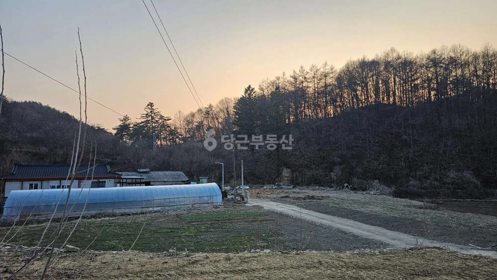 경기도 양평군 양동면 토지 사진 1