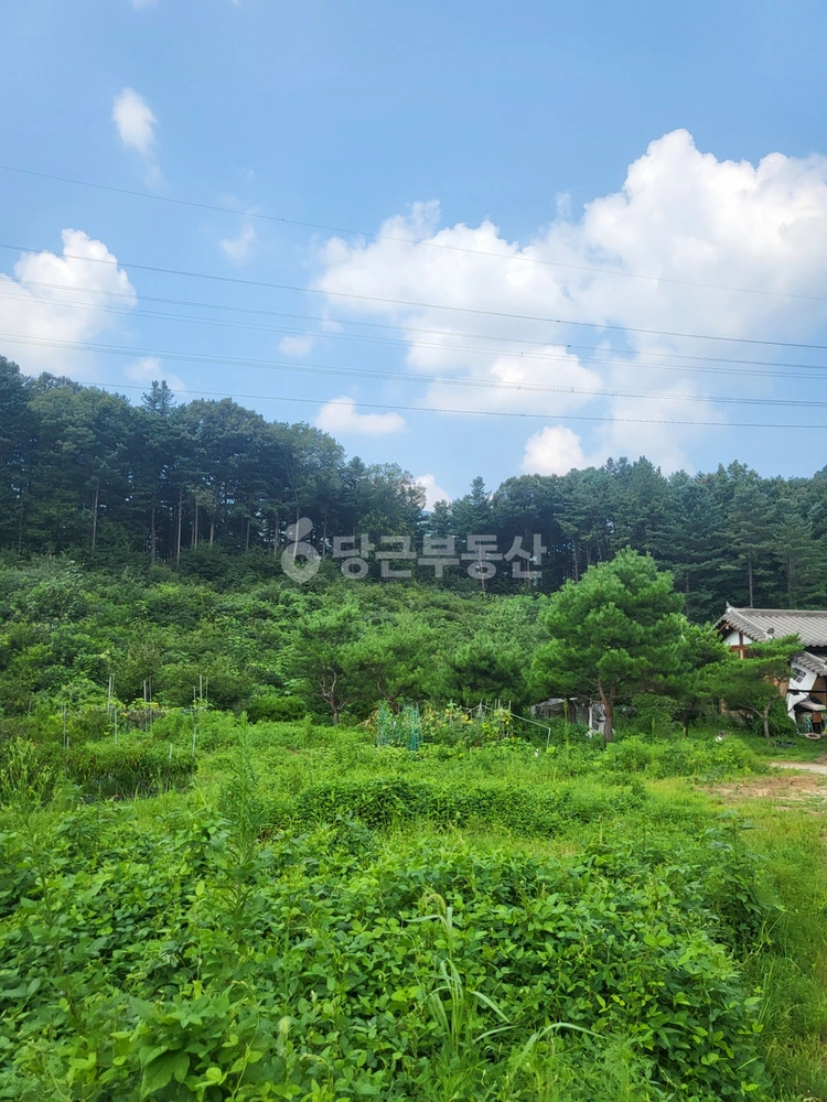 경기도 양평군 서종면 토지 사진 1