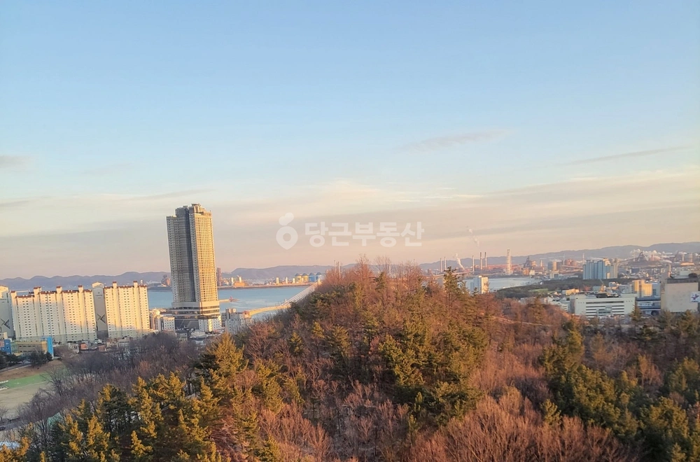 경상북도 포항시 북구 우현동 아파트 사진 1