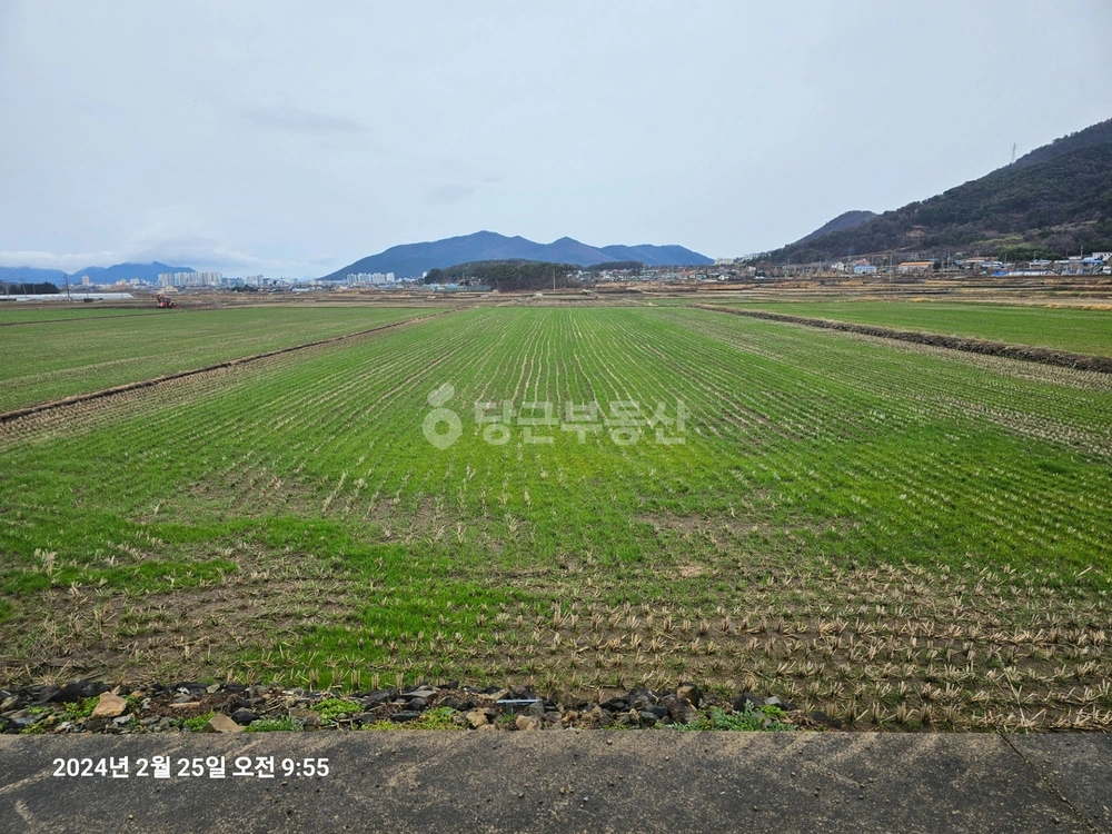 경상남도 사천시 궁지동 토지 사진 1