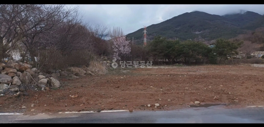 전남광주통합특별시 구례군 마산면 토지 사진 1