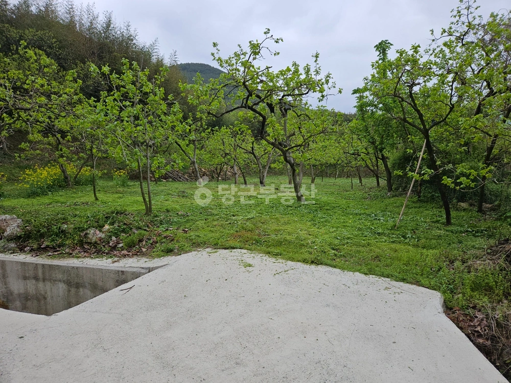 경상북도 청도군 금천면 토지 사진 1