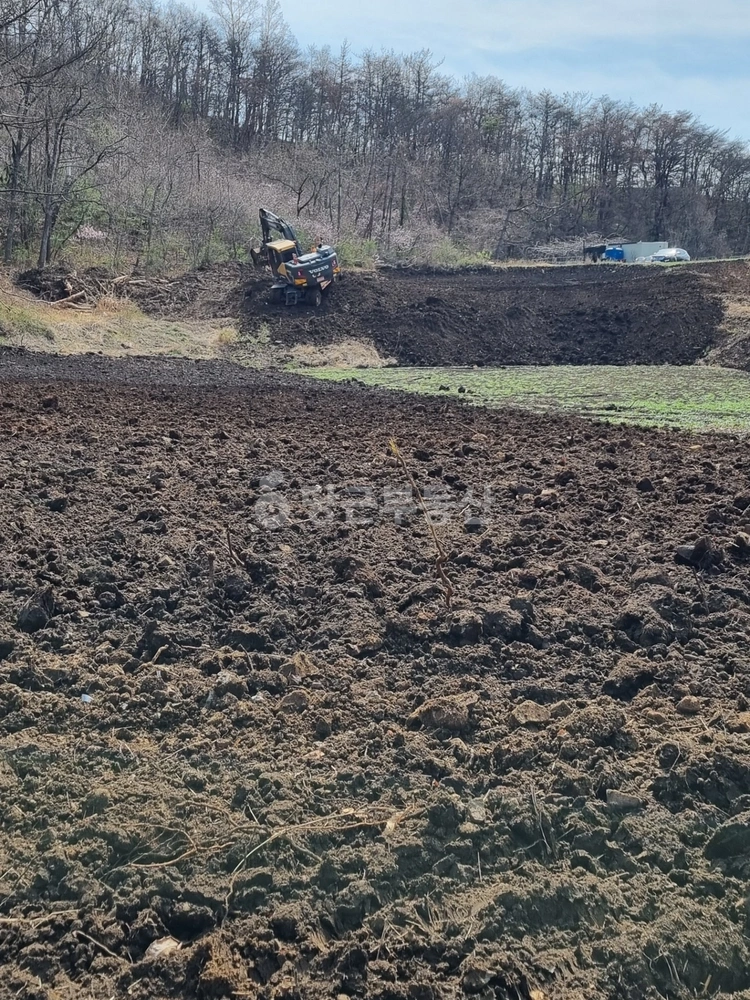 경상북도 포항시 남구 장기면 토지 사진 1