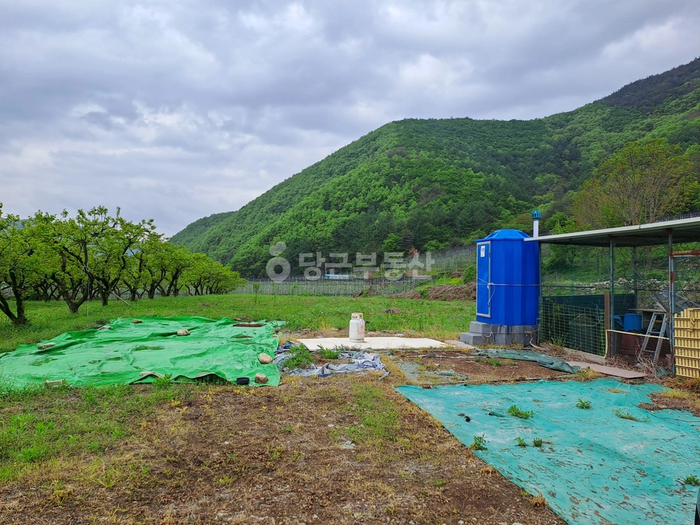 경상북도 포항시 북구 기북면 토지 사진 1
