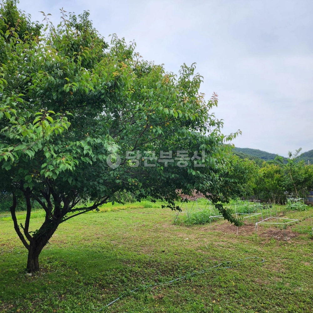 경상남도 창원시 마산합포구 덕동동 토지 사진 1