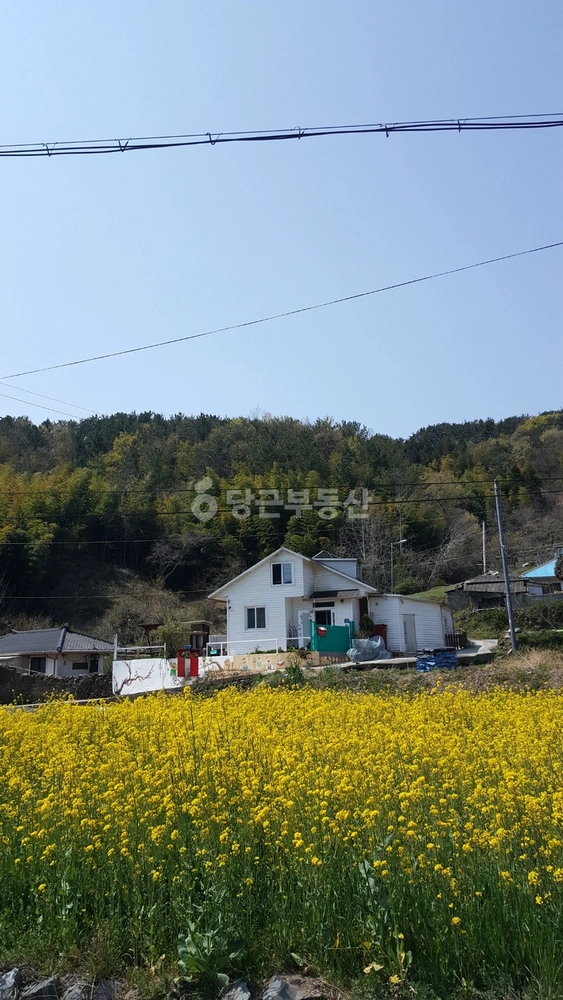 경상남도 거제시 연초면 단독/전원주택 사진 1