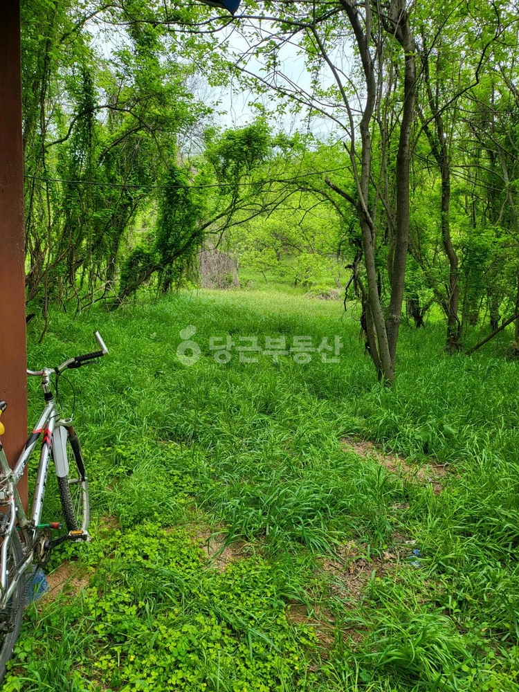 충청남도 부여군 은산면 토지 사진 1