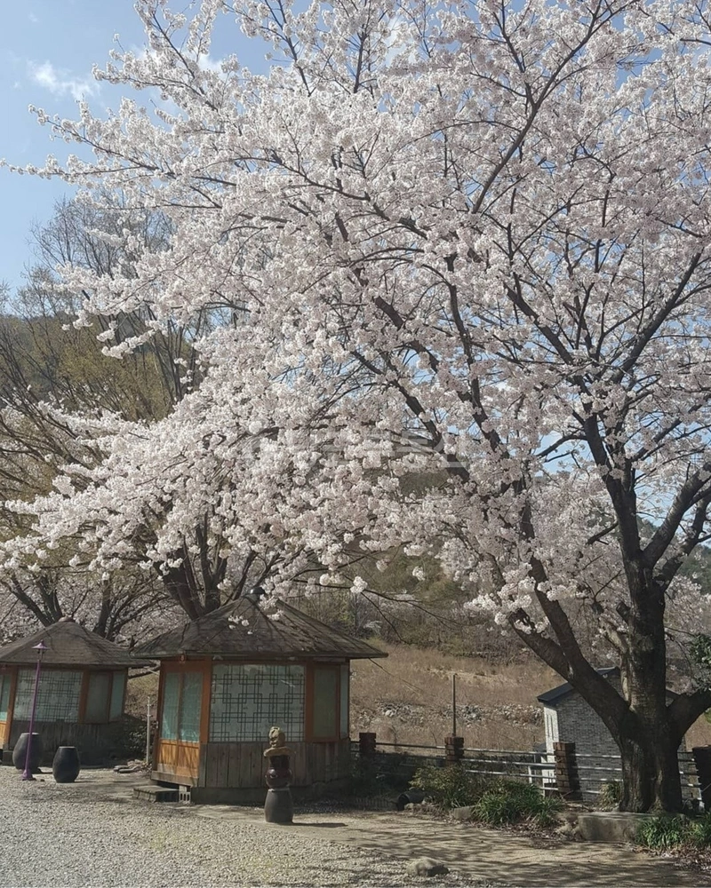 경상남도 밀양시 삼랑진읍 상가 사진 1