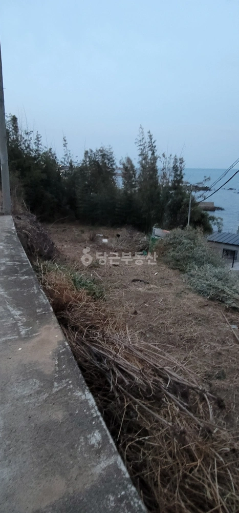 경상북도 포항시 남구 구룡포읍 토지 사진 1