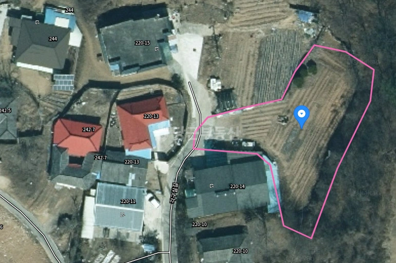 충청북도 음성군 금왕읍 토지 사진 1
