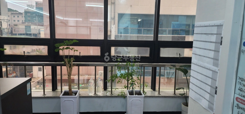 전남광주통합특별시 여수시 학동 상가 사진 1