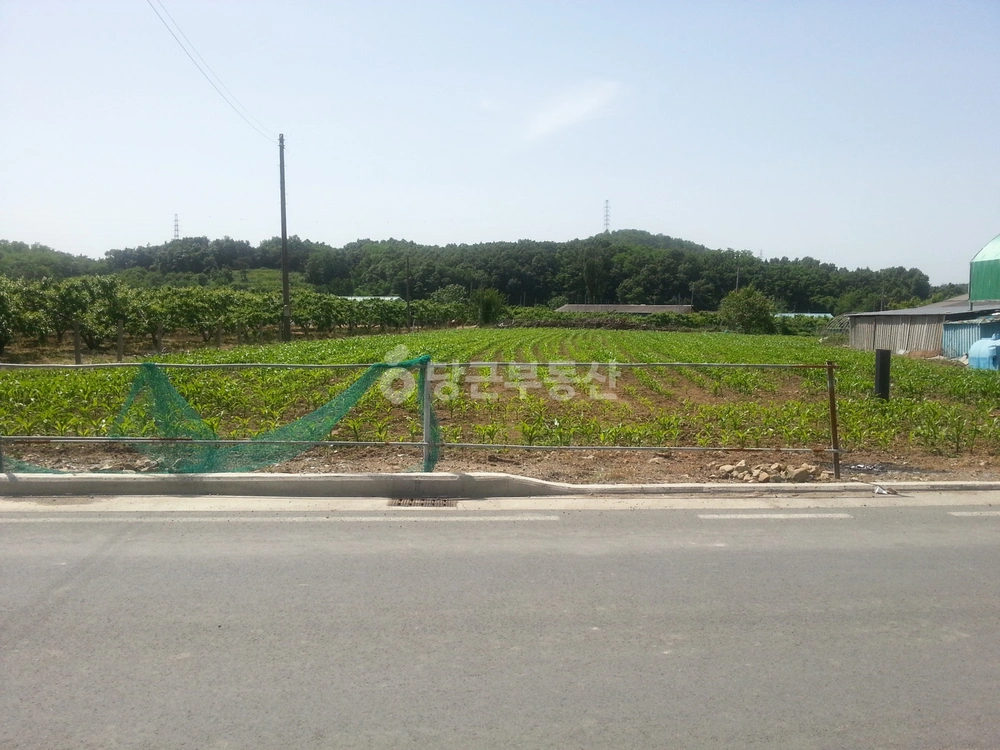 경상북도 경주시 서면 토지 사진 1