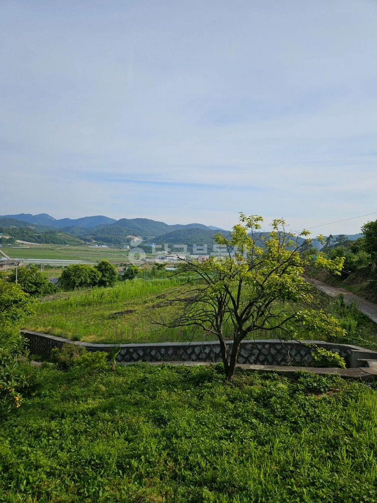 전남광주통합특별시 여수시 소라면 토지 사진 1