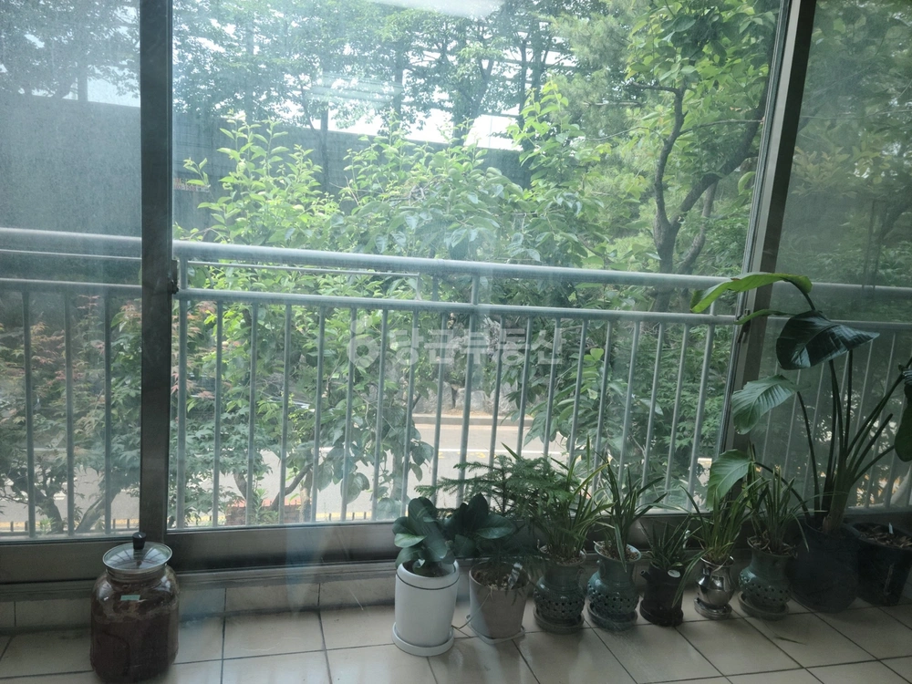 서울특별시 광진구 자양동 아파트 사진 1