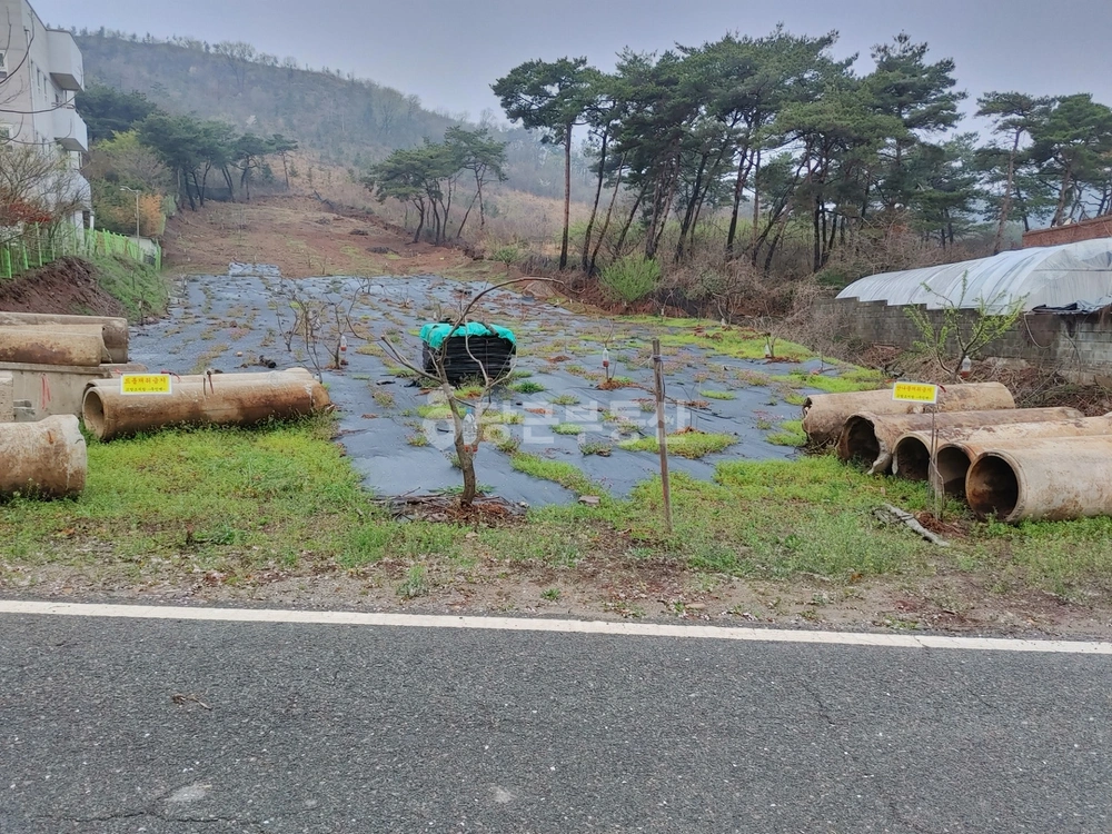 전남광주통합특별시 광산구 삼거동 토지 사진 1