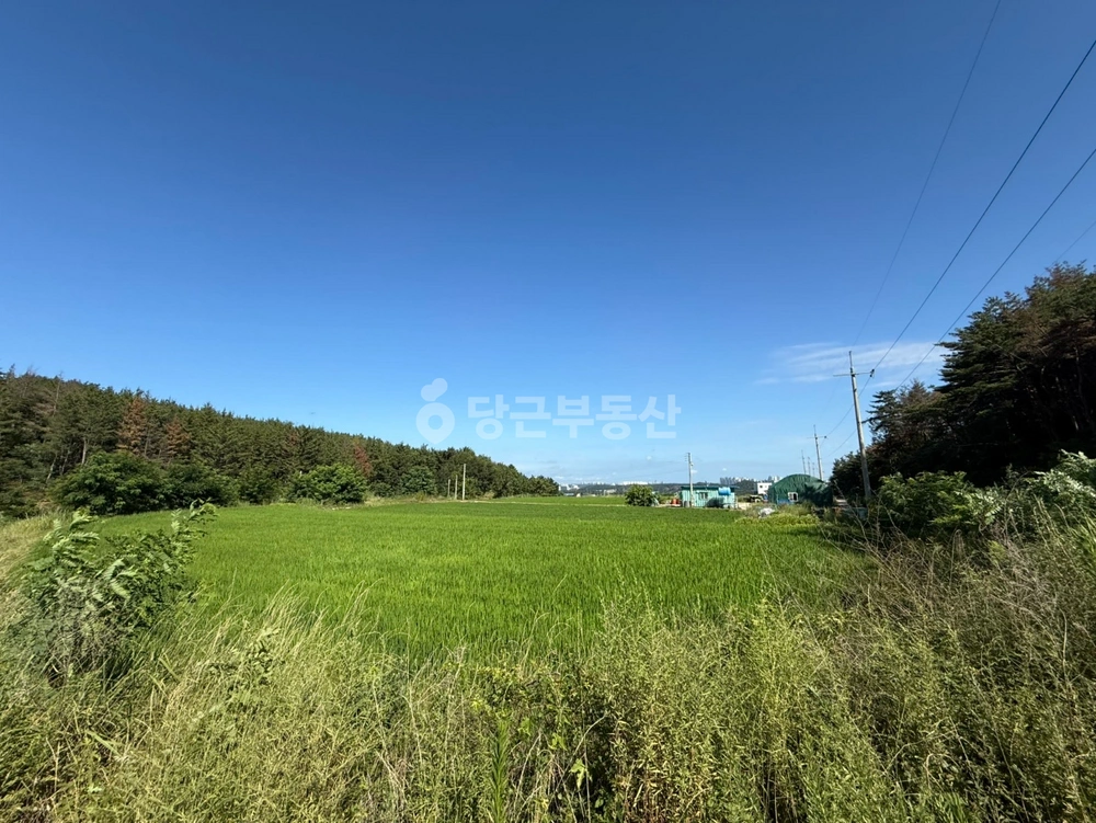 경상북도 포항시 북구 흥해읍 토지 사진 1