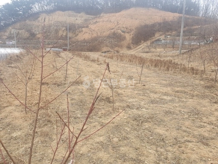 경상북도 성주군 선남면 토지 사진 1