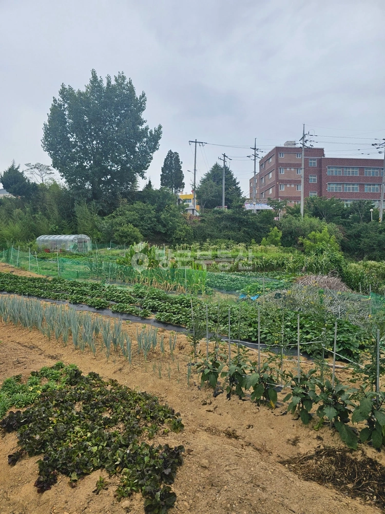 경상북도 영천시 화룡동 토지 사진 1