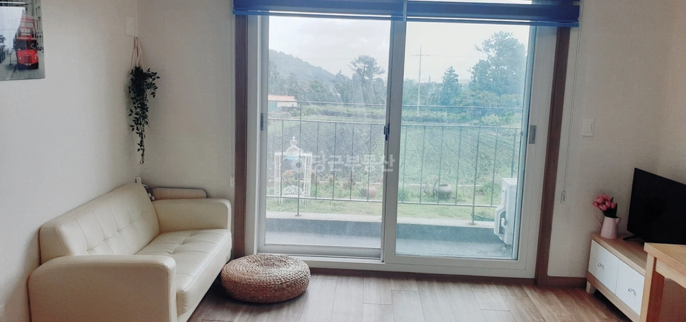 제주특별자치도 서귀포시 성산읍 원룸 사진 1