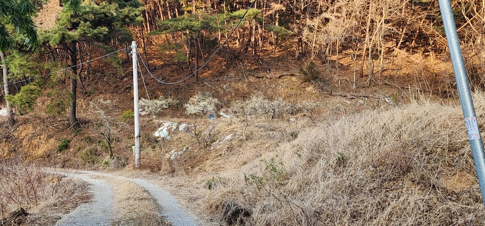 경상남도 진주시 대평면 건물 사진 1