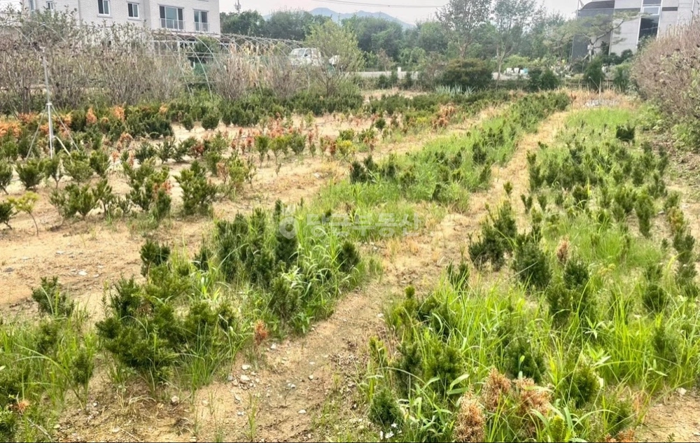 전북특별자치도 전주시 덕진구 금상동 상가 사진 1