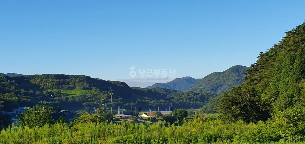 경상남도 하동군 횡천면 토지 사진 1