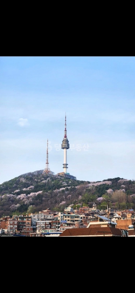 서울특별시 용산구 용산동2가 단독/전원주택 사진 1