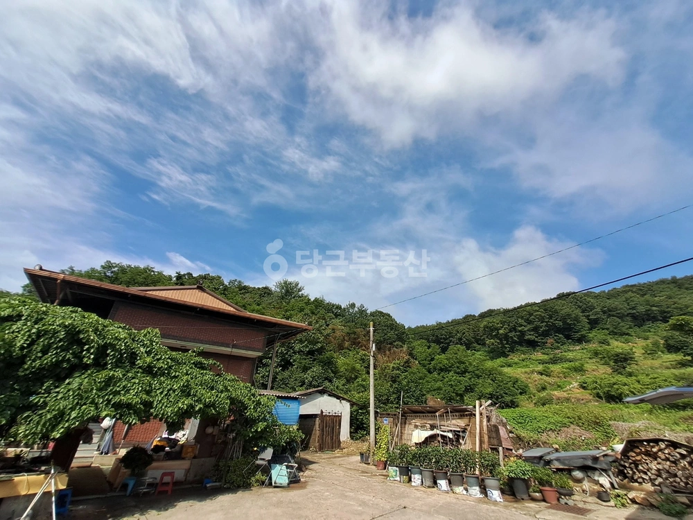 경상북도 구미시 선산읍 토지 사진 1