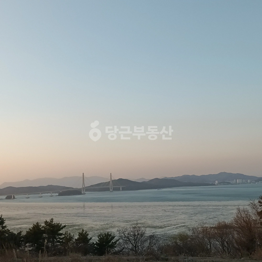 전남광주통합특별시 고흥군 금산면 토지 사진 1