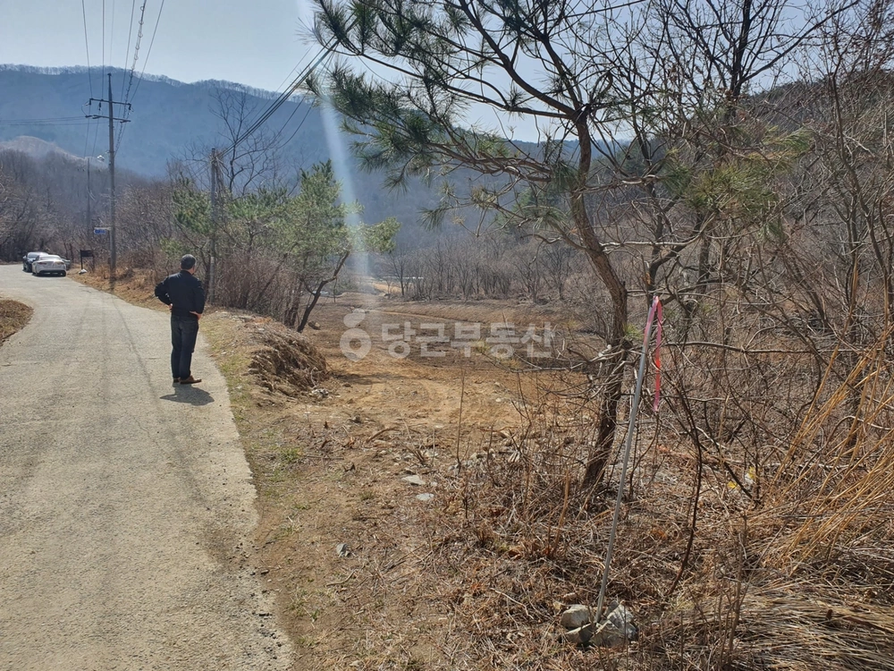 경상북도 경주시 산내면 토지 사진 1