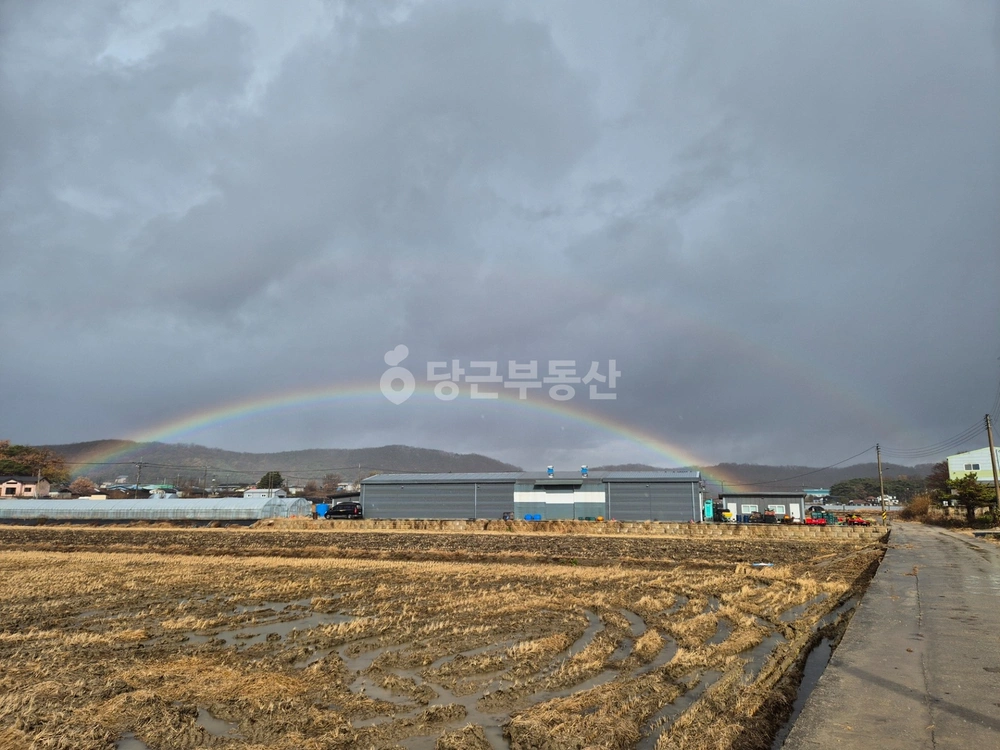 인천광역시 강화군 선원면 공장/창고 사진 1