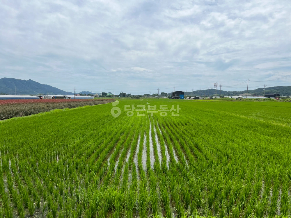 전남광주통합특별시 순천시 홍내동 토지 사진 1
