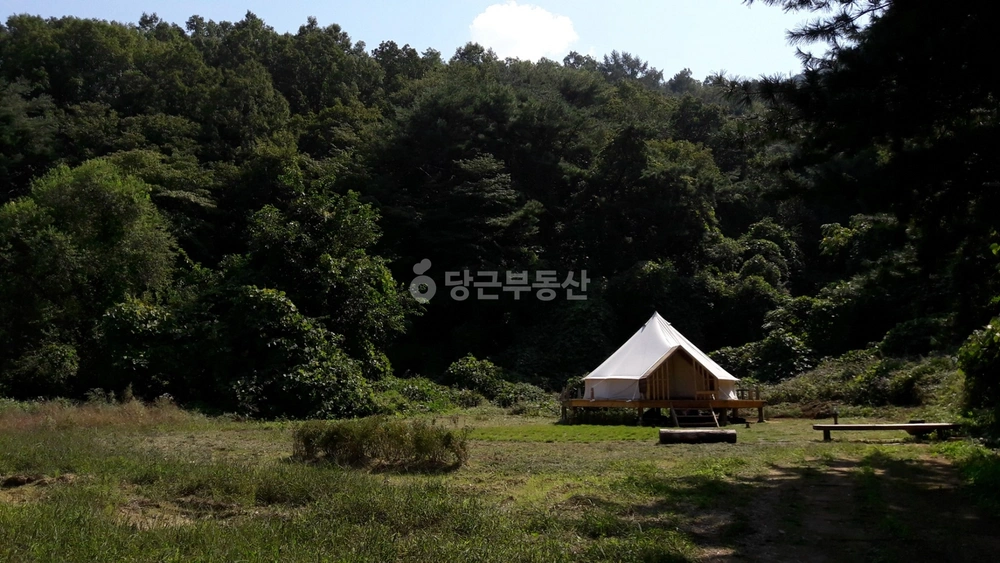 강원특별자치도 양구군 양구읍 토지 사진 1