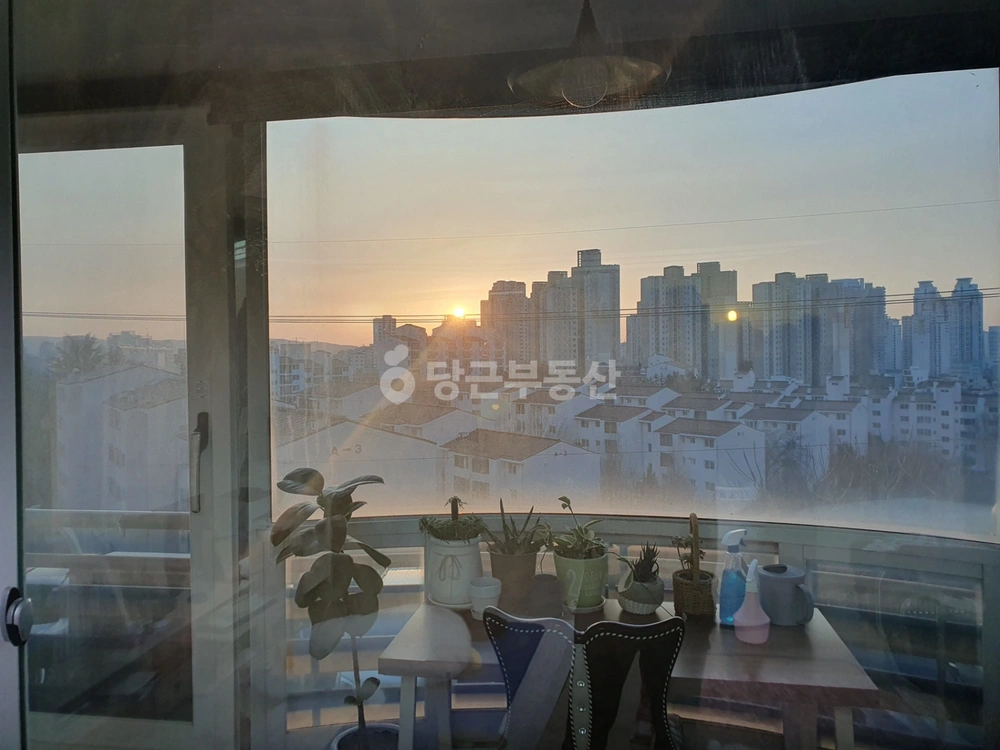 울산광역시 남구 신정동 아파트 사진 1
