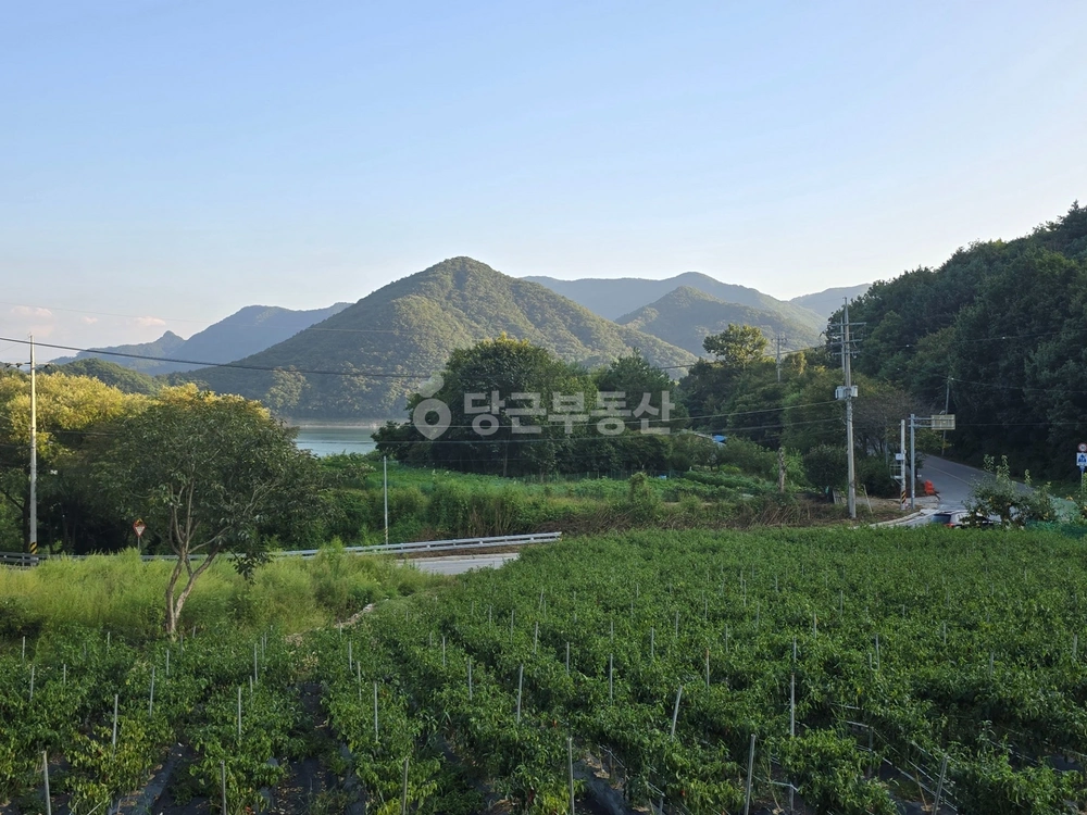충청북도 충주시 동량면 토지 사진 1
