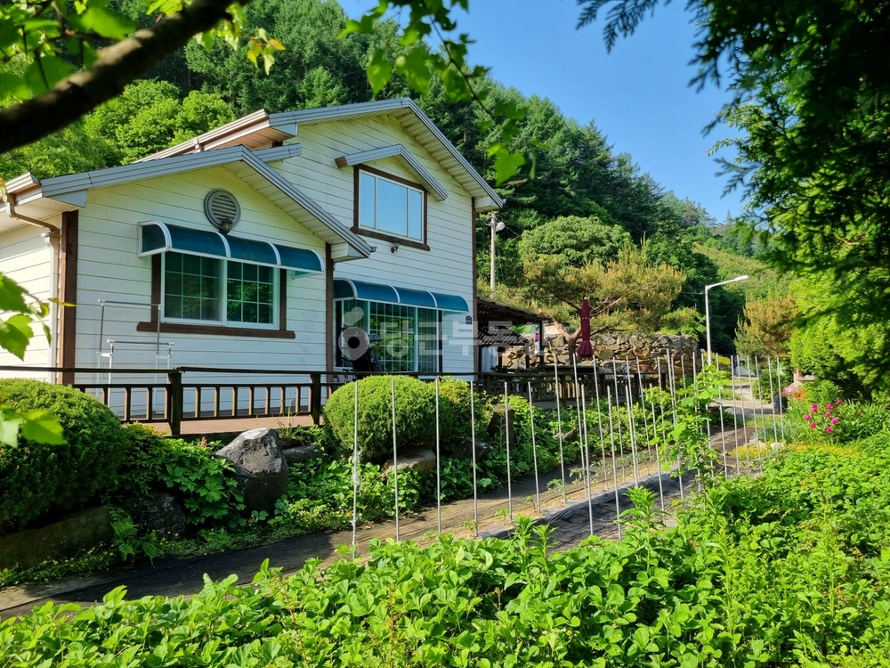 충청북도 괴산군 청안면 단독/전원주택 사진 1
