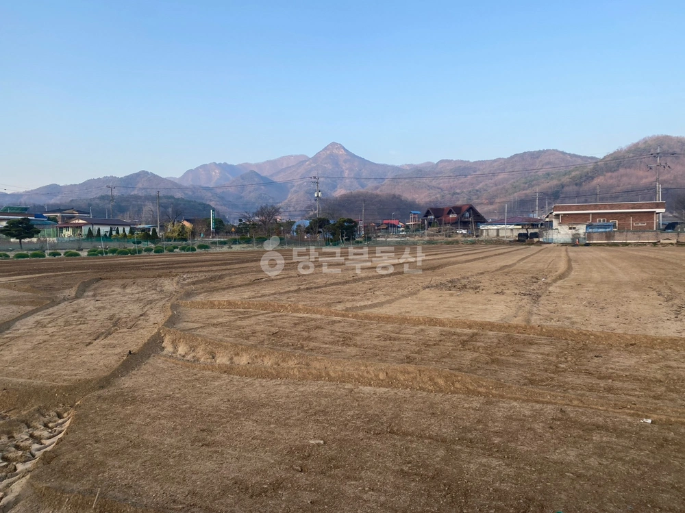 충청북도 옥천군 이원면 토지 사진 1