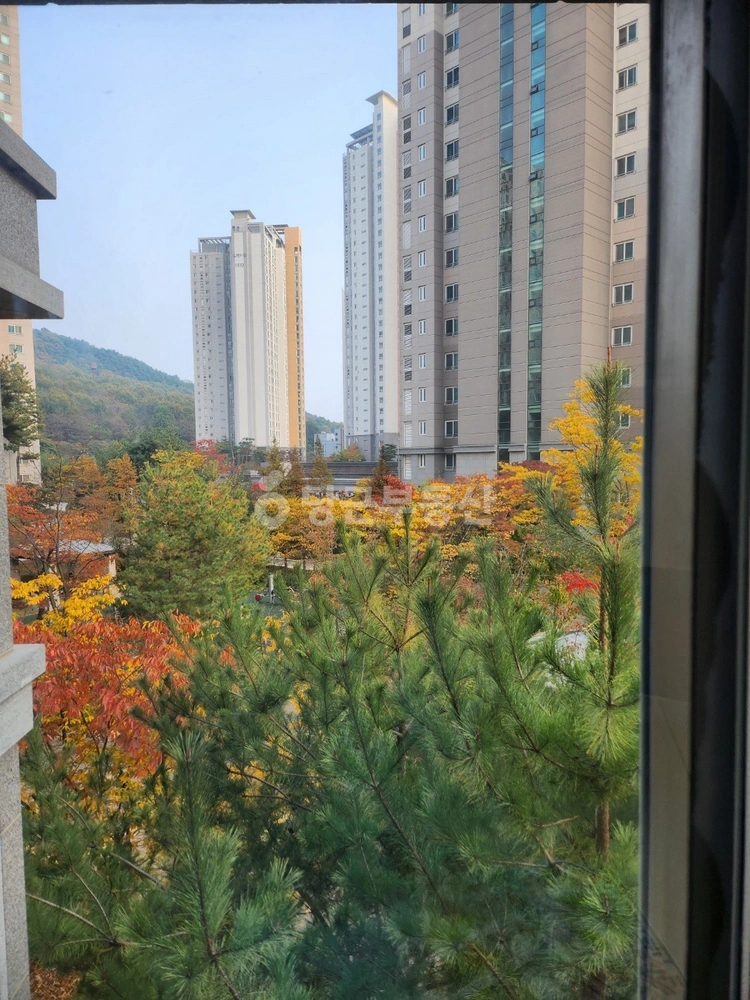 세종특별자치시 도담동 아파트 사진 1