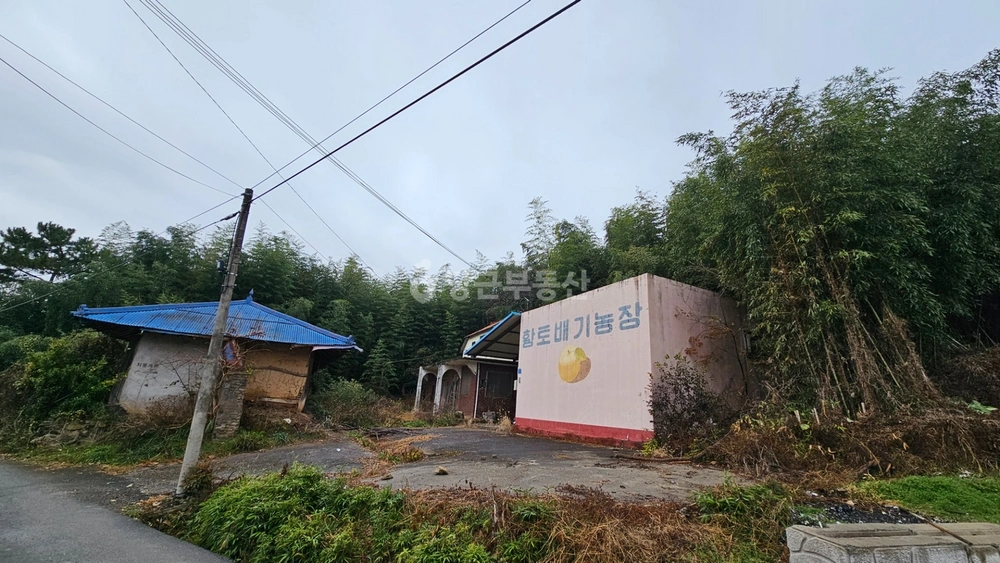 전북특별자치도 군산시 나포면 토지 사진 1