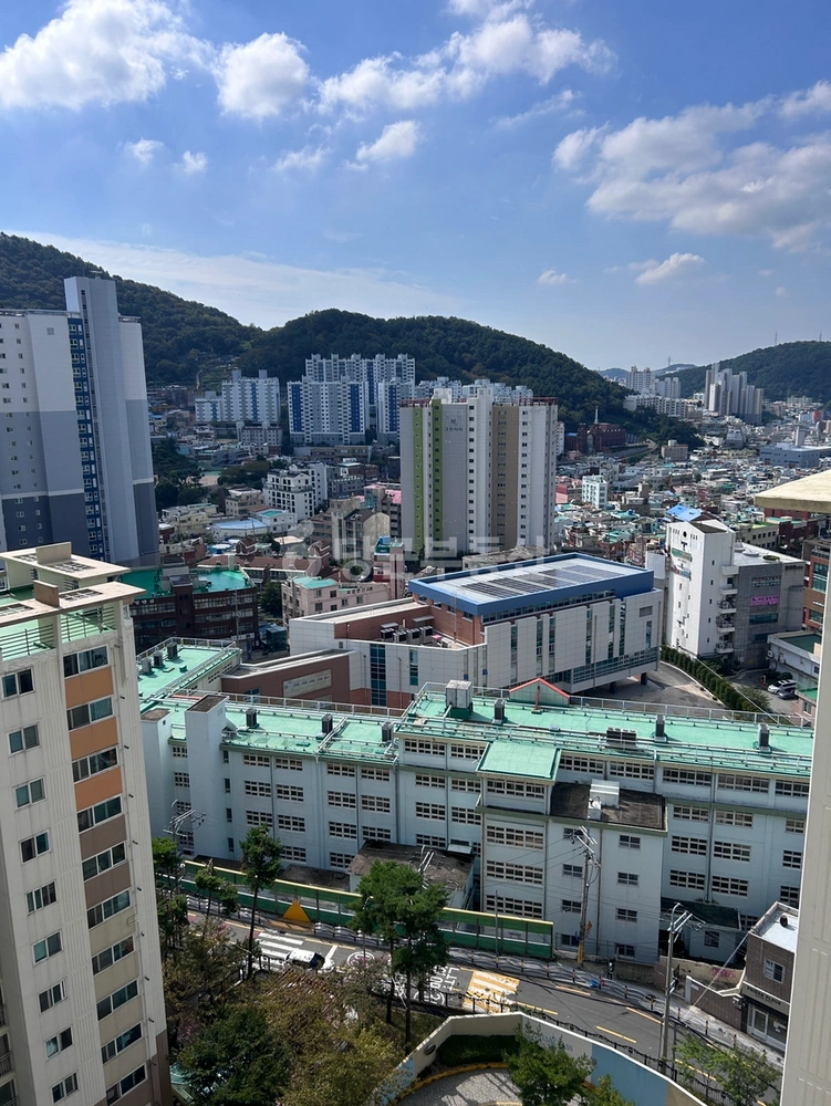 부산광역시 사하구 괴정동 아파트 사진 1